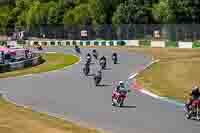 Vintage-motorcycle-club;eventdigitalimages;mallory-park;mallory-park-trackday-photographs;no-limits-trackdays;peter-wileman-photography;trackday-digital-images;trackday-photos;vmcc-festival-1000-bikes-photographs